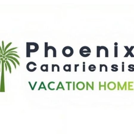 Phoenix Canariensis San Juan de la Rambla المظهر الخارجي الصورة