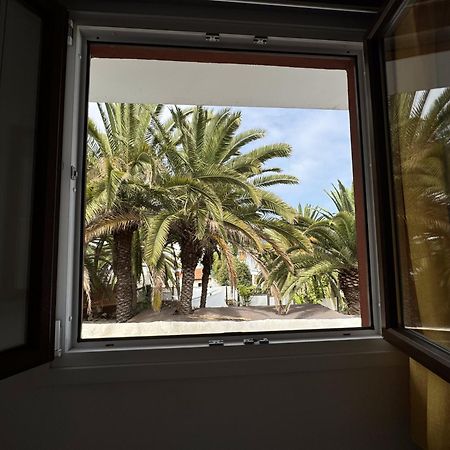 Phoenix Canariensis San Juan de la Rambla المظهر الخارجي الصورة