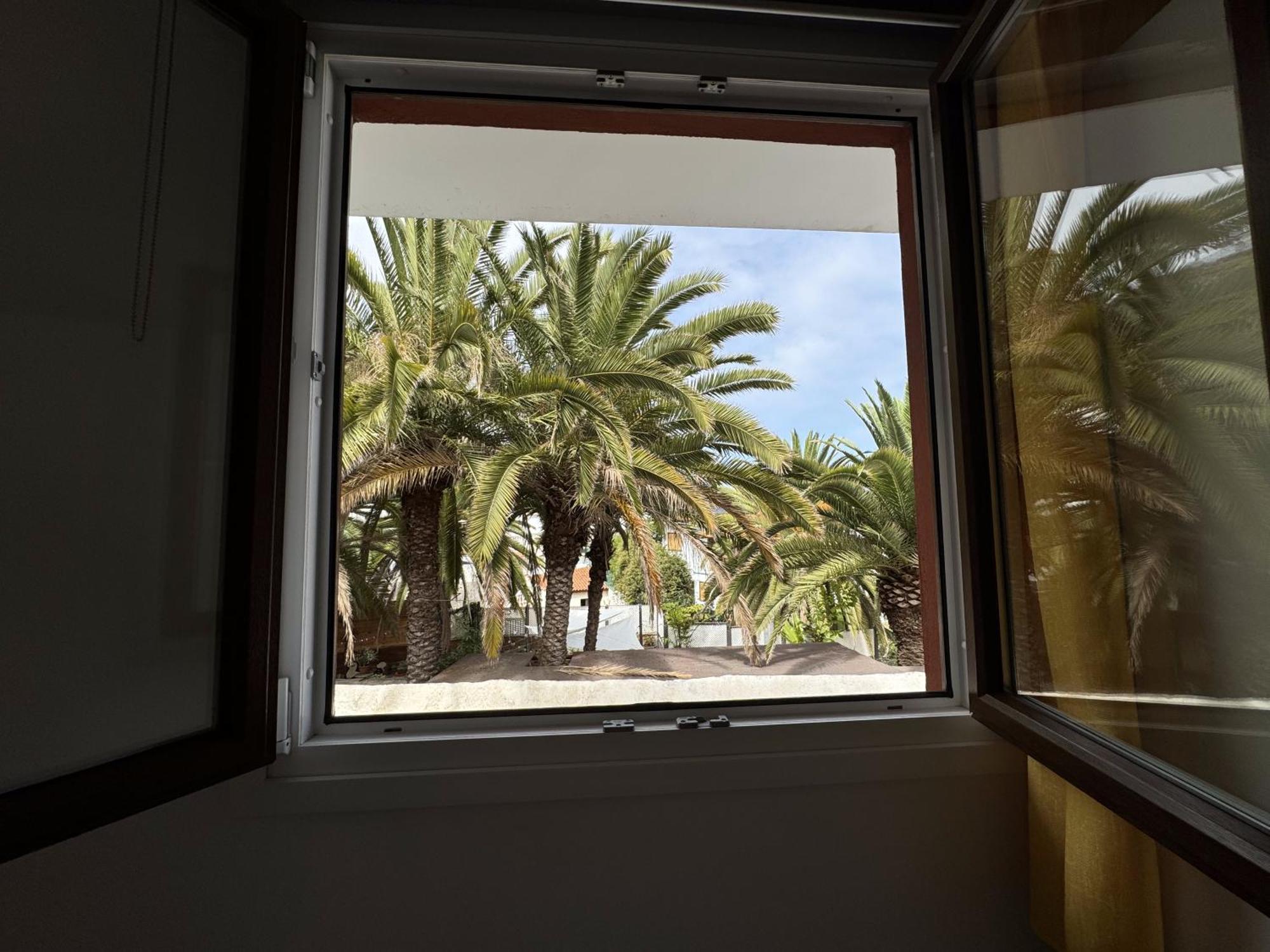 Phoenix Canariensis San Juan de la Rambla المظهر الخارجي الصورة