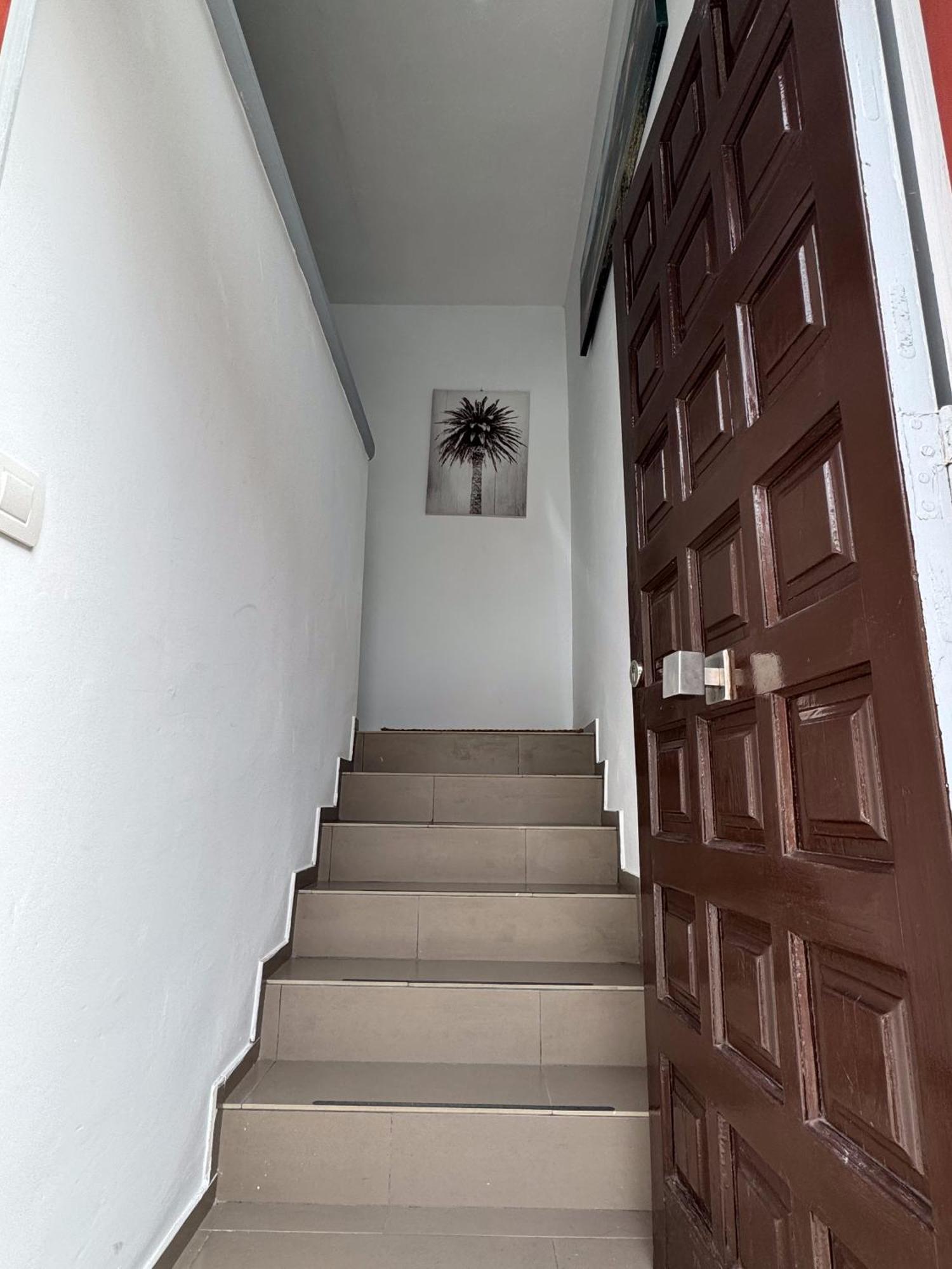 Phoenix Canariensis San Juan de la Rambla المظهر الخارجي الصورة